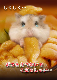 nł