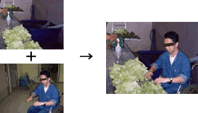 ��؍H�[�摜01