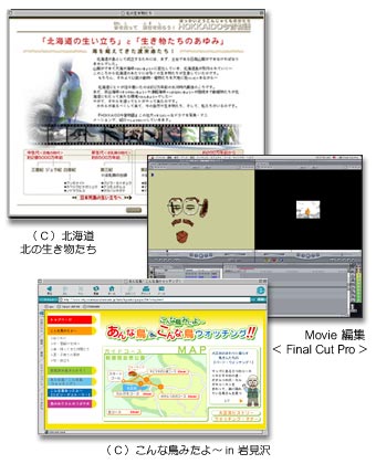 �R���e���c�ē�